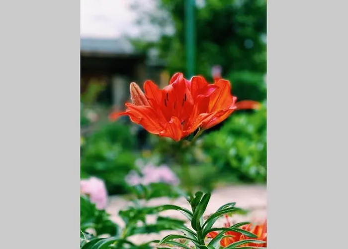 Cute Little House With A White Picket Fence Σπίτι διακοπών