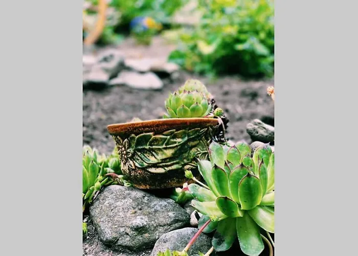 Cute Little House With A White Picket Fence * Burgas