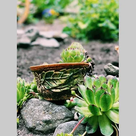 Cute Little House With A White Picket Fence * ブルガス